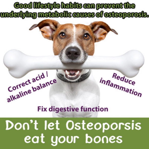 prevent osteoporosis with diet lifestyle not calcium tablets